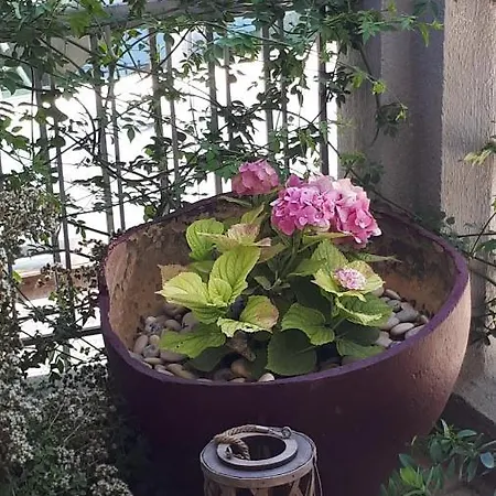 ベッド・アンド・ブレックファスト Kate-mari 3*