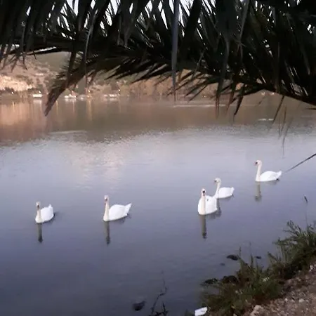 ベッド・アンド・ブレックファスト Kate-mari Skala (Kefalonia)