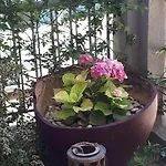 Bed & Breakfast Kate-mari 3*